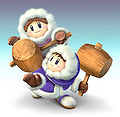 Ice Climbers SSBB.jpg