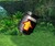 Barrel.jpg