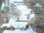 E11m-King of the Mountain.png