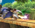 Dimensional Cape 2.jpg