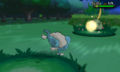 Pound.png