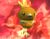 Torchic.jpg