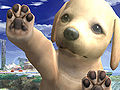 NintendogBetaScreen.jpg
