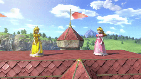 Vegetable SmashWiki the Super Smash Bros wiki