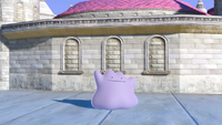 Ditto.png