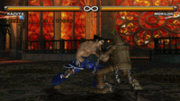 Tekken5EWGF.gif