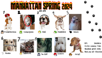Manhtattan Kansas Spring 2024 PR.png