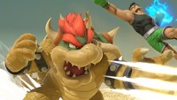SSBUWebsiteBowser3.jpg