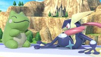 SSBUWebsiteGreninja5.jpg