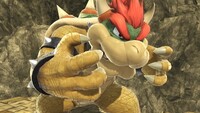 SSBUWebsiteBowser1.jpg
