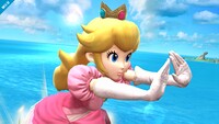 SSB4 - Peach Screen-2.jpg