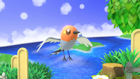 Fletchling SSBU.png