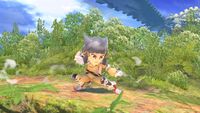 SSBU Nia Set.jpg
