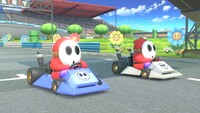 Shy Guy Ultimate.jpg