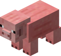 Pig.png