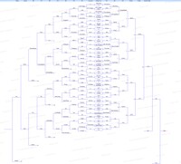 Pound V Brawl singles bracket.jpeg