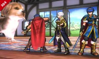 SSB4 - Robin Screen-9.jpg