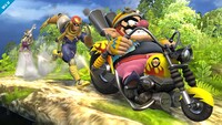 SSB4 - Wario Screen-1.jpg