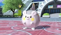 SSBUWebsiteTogedemaru1.jpg