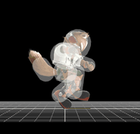 FoxFireFoxSSB4.gif
