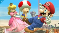 SSB4 - Peach Screen-7.jpg