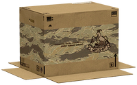 SSBU spirit Cardboard Box.png