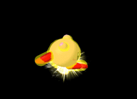 KirbyDashAttackSSBM.gif