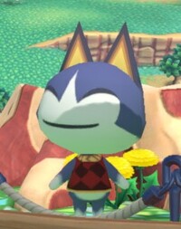 Rover Town and City.jpg