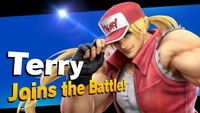 Terry unlock notice SSBU.jpg