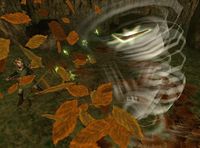 Gale Boomerang Whirlwind.jpg