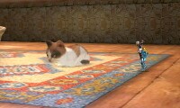 Kitty in SSB4.jpeg