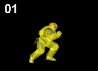 CFalcon SSBM Neutral 1.gif