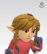 SSBU Champion's Wig.jpg