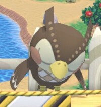 Blathers asleep Smashville.jpg