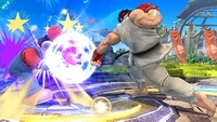 Ryu Screen-6.jpg