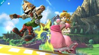 SSB4 - Peach Screen-1.jpg