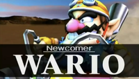 WarioRevealE32006.png