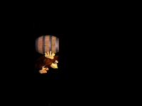 BarrelDarkness.png