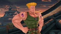 SSBUWebsiteGuile1.jpg