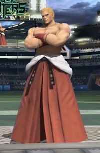 SSBU Geese Howard.jpeg
