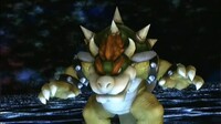 SSEVsBowser.jpg