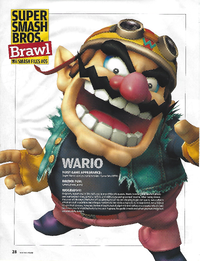 SmashFilesWario5.png