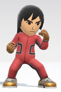 SSBU Tracksuit.jpg