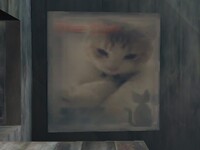 Poke Stadium 2 cat graphic.jpg