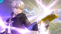 SSB4 - Robin Screen-1.jpg