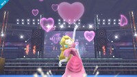 SSB4 - Peach Screen-8.jpg