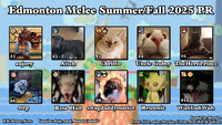 Edmonton SSBM SummerFall 2025.png