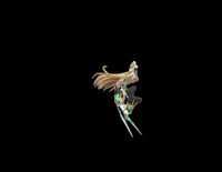 Mythra Carryover.png