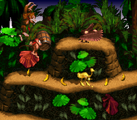 Diddy barrel DKC.png