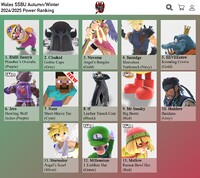 South Wales Winter 2024-2025.jpg